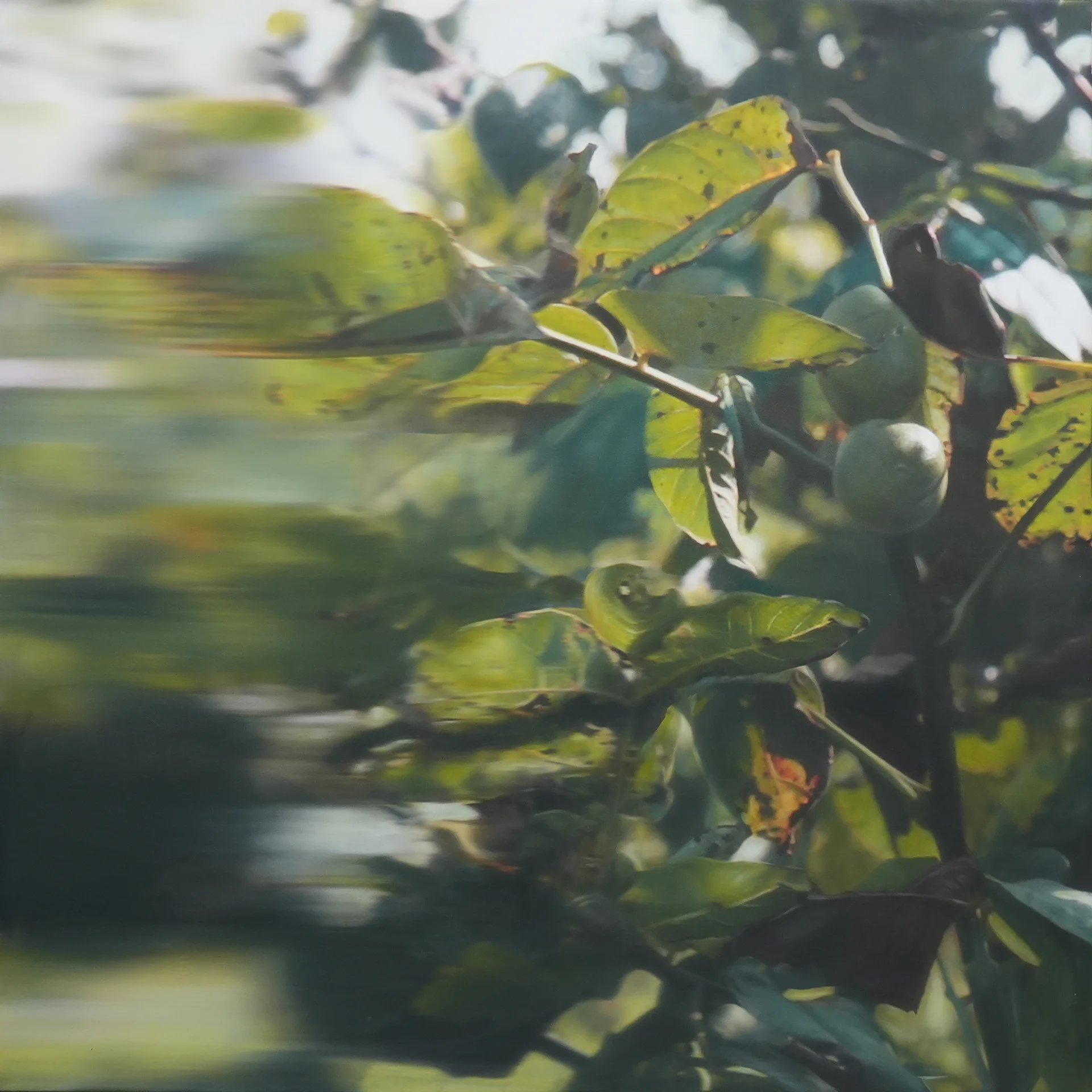 The Disappeared<br>160 x 160 cm<br>Öl auf Leinwand