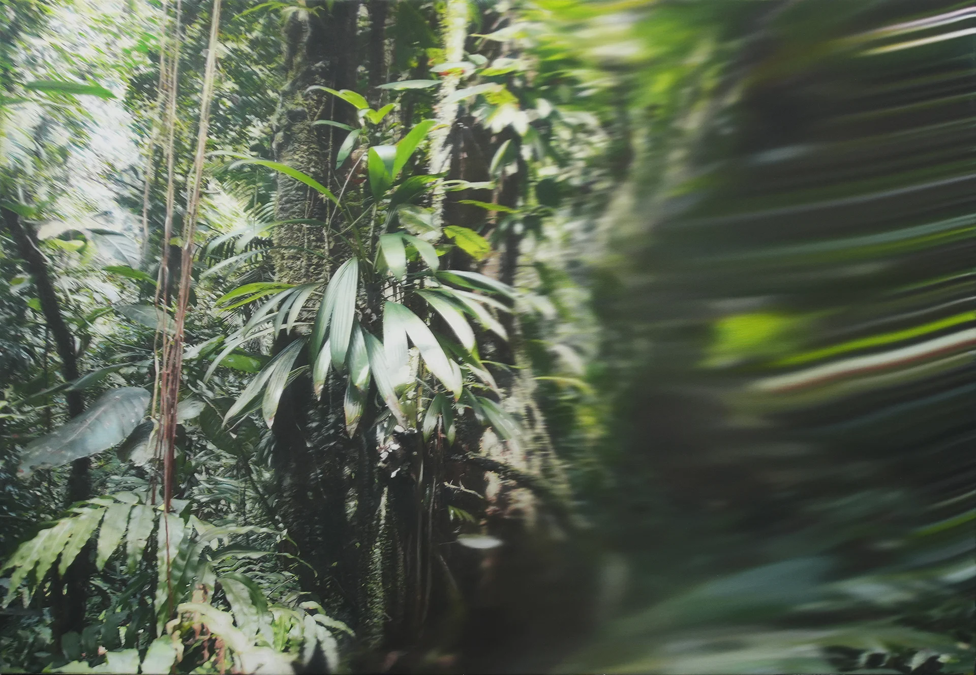 Impact<br>200 x 140 cm<br>Öl auf Leinwand