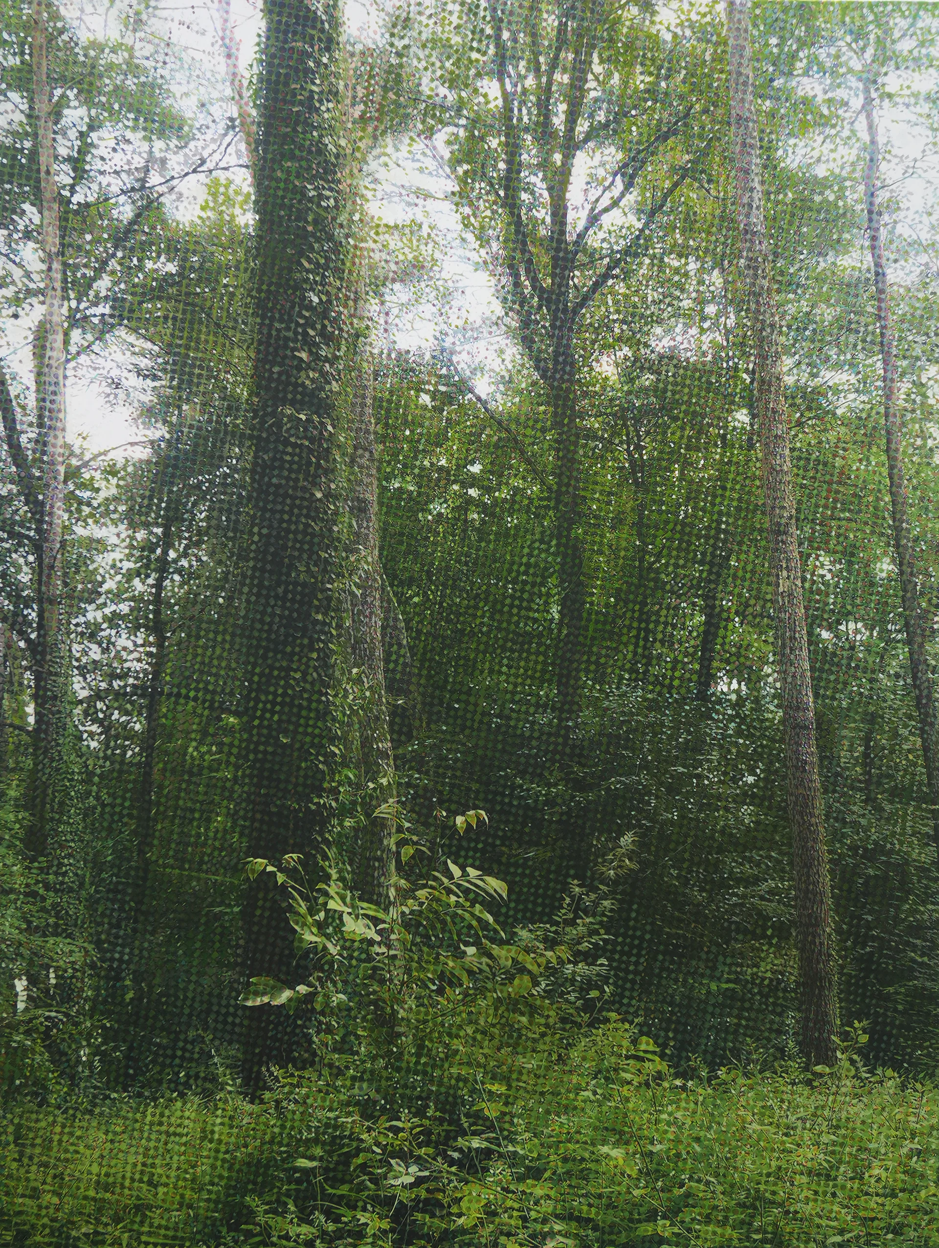 Transit 300<br>150 x 200 cm<br>Öl auf Leinwand