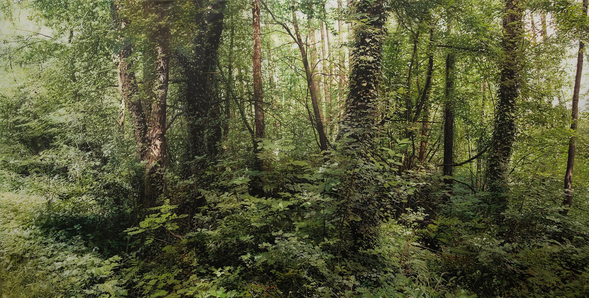 Transit 155<br>450 x 230 cm<br>Öl auf Leinwand