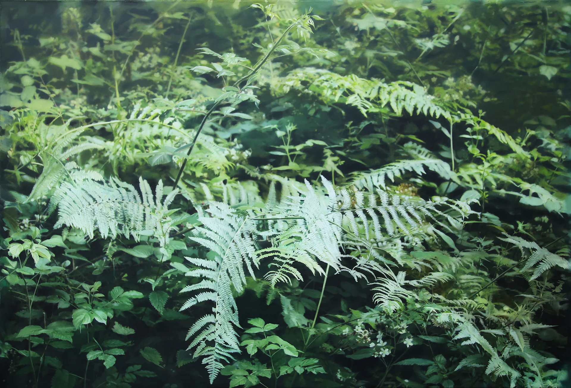 Transit 122<br>270 x 170 cm<br>Öl auf Leinwand