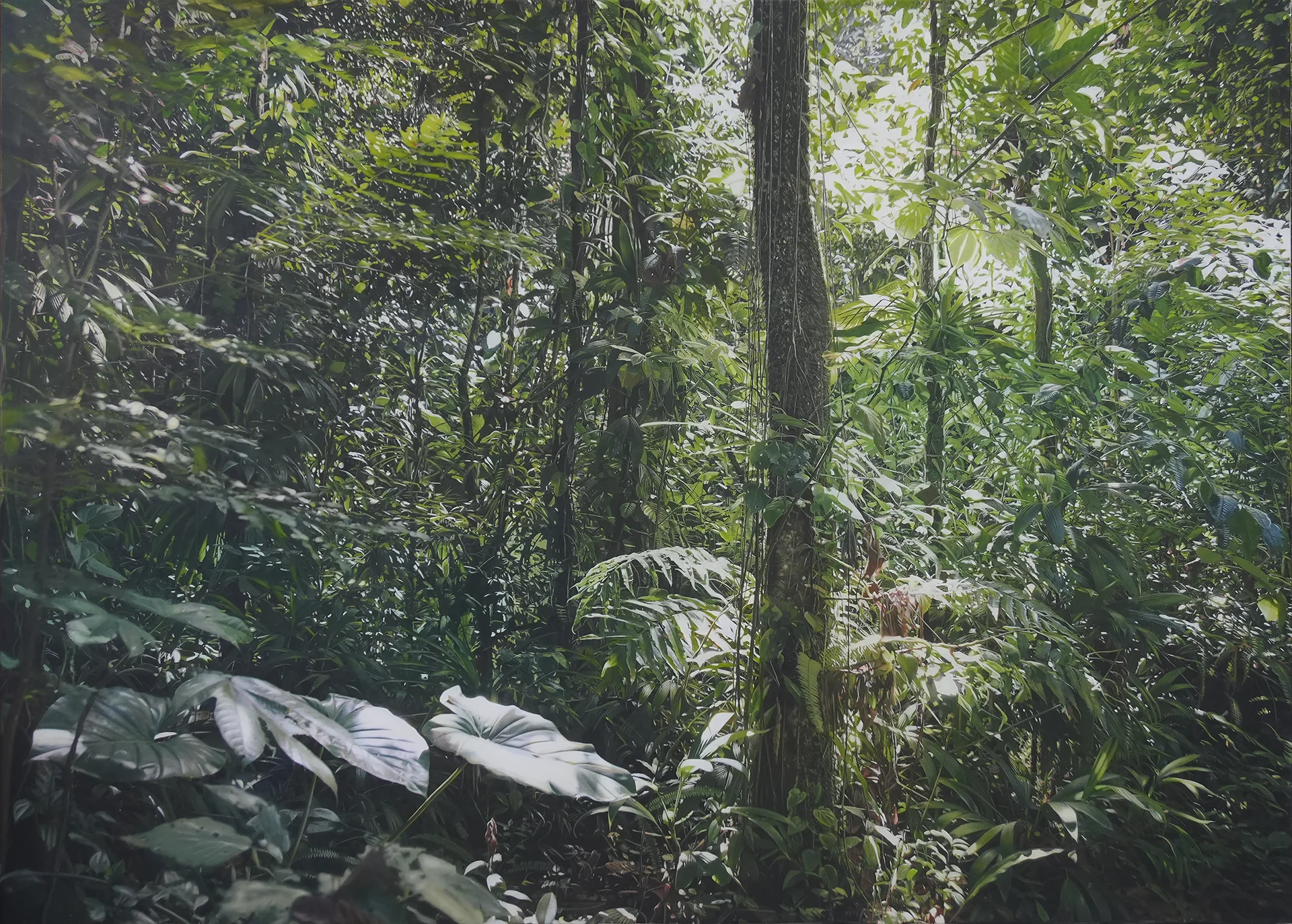 Transit 294<br>280 x 200 cm<br>Öl auf Leinwand