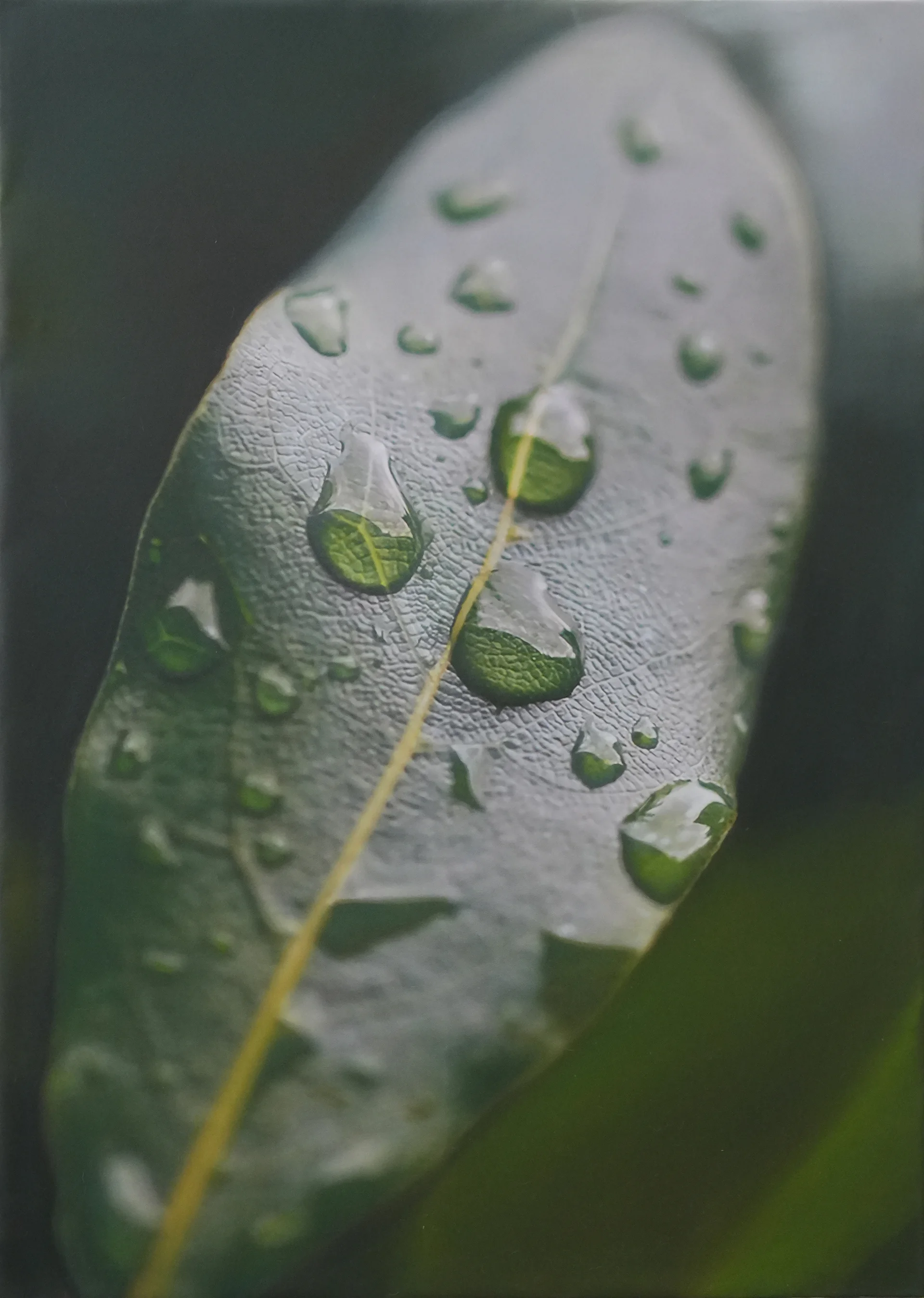 Transit 295<br>100 x 140 cm<br>Öl auf Leinwand