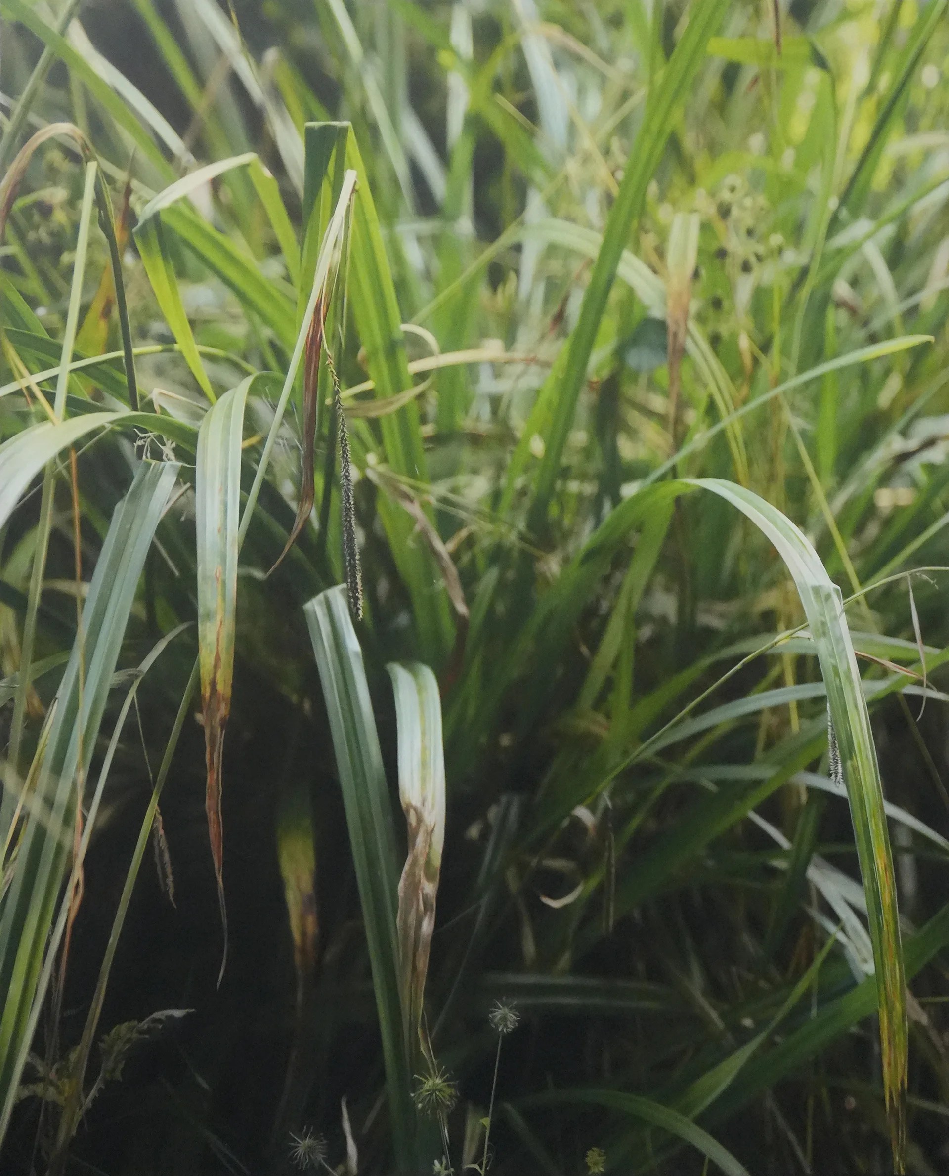 Transit 276<br>190 x 210 cm<br>Öl auf Leinwand