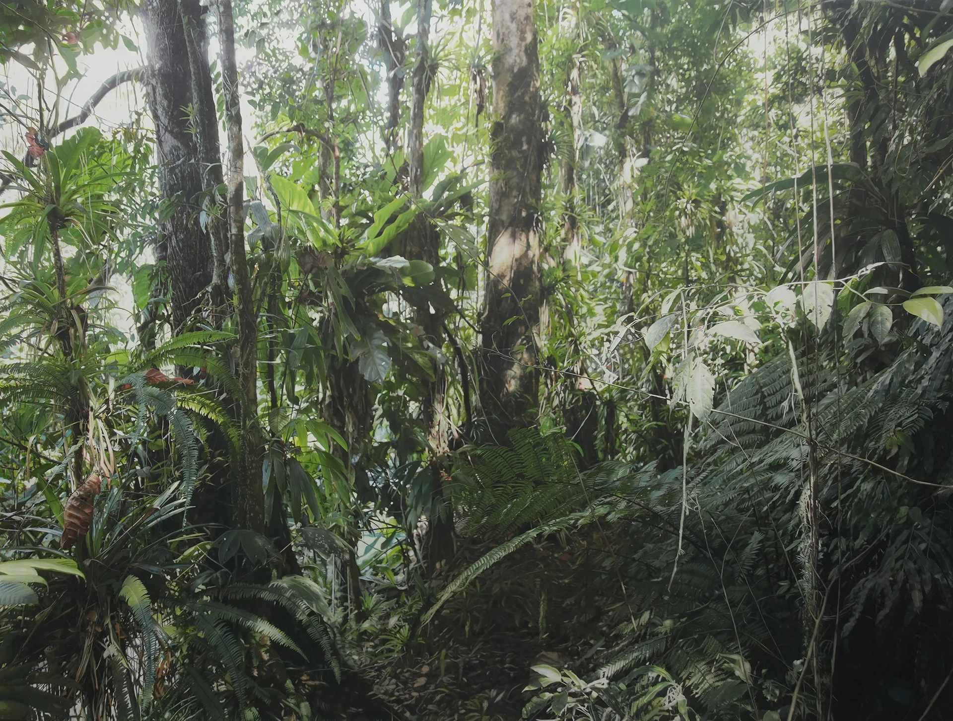 Transit 280<br>200 x 160 cm<br>Öl auf Leinwand