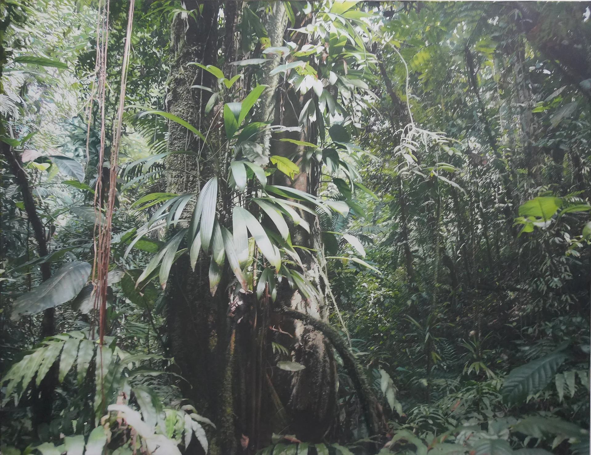 Transit 282<br>260 x 200 cm<br>Öl auf Leinwand