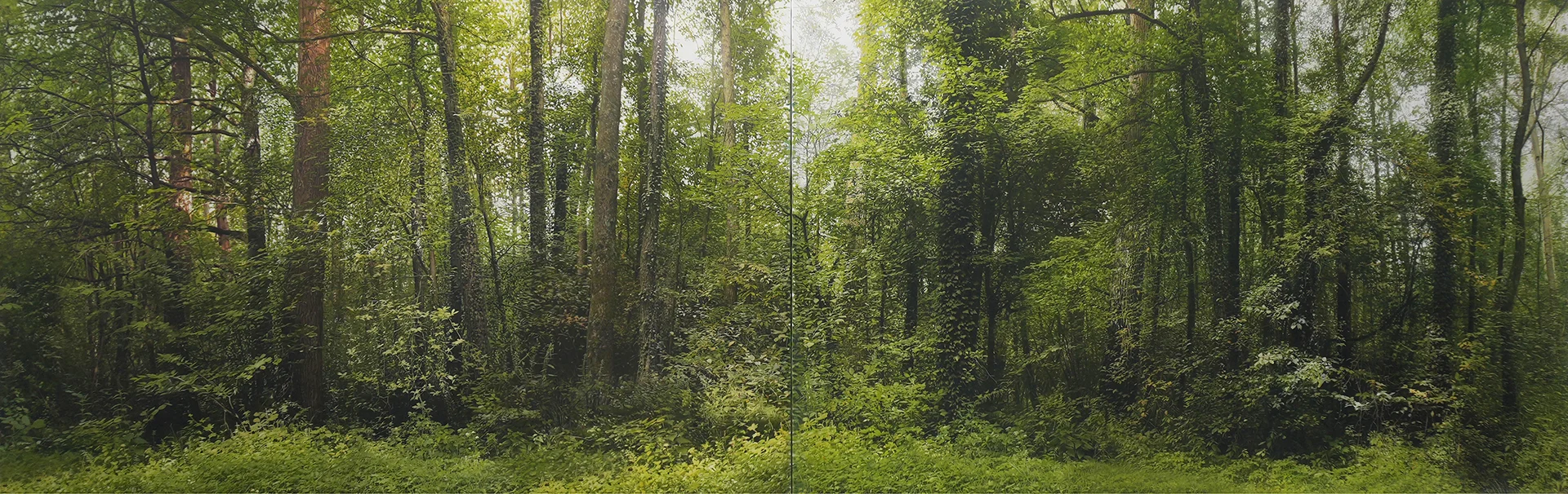 Transit 285<br>800 x 240 cm<br>Öl auf Leinwand